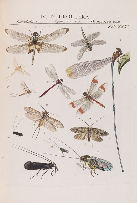 Johann Jacob Roemer - Genera insectorum - Autre image