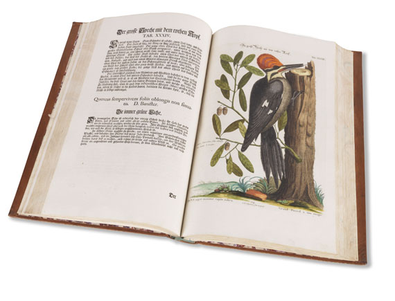 Johann Michael Seligmann - Sammlung seltener Vögel - Autre image