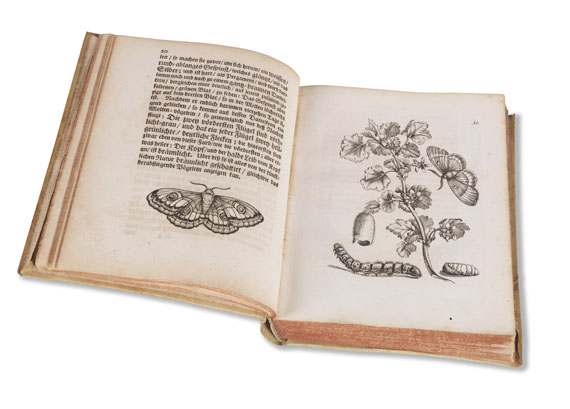 Maria Sibylla Merian - Der Raupen Verwandelung - Autre image