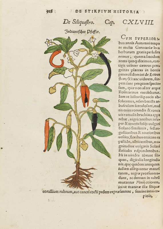 Hieronymus Bock - De stirpium - Autre image