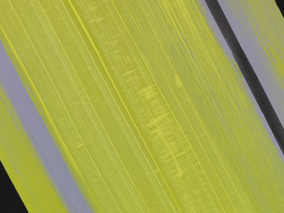 Günter Fruhtrunk - Enge-Höhe-Tiefe-Breite - Autre image