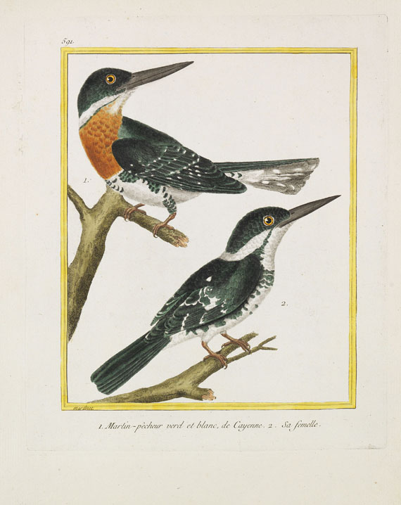 Georges Louis Leclerc Buffon - Histoire naturelle des oiseaux. 3 Kassetten - Autre image