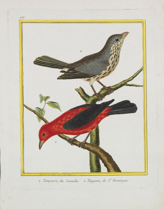 Georges Louis Leclerc Buffon - Histoire naturelle des oiseaux. 3 Kassetten - Autre image