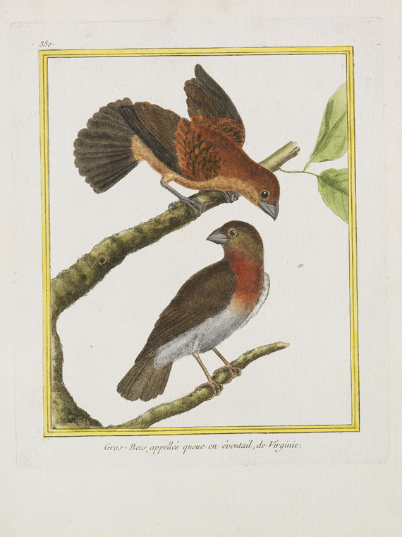 Georges Louis Leclerc Buffon - Histoire naturelle des oiseaux. 3 Kassetten - Autre image