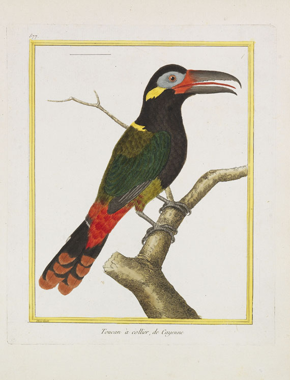 Georges Louis Leclerc Buffon - Histoire naturelle des oiseaux. 3 Kassetten - Autre image