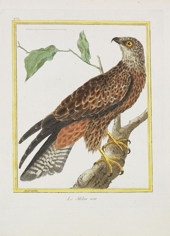 Georges Louis Leclerc Buffon - Histoire naturelle des oiseaux. 3 Kassetten - Autre image