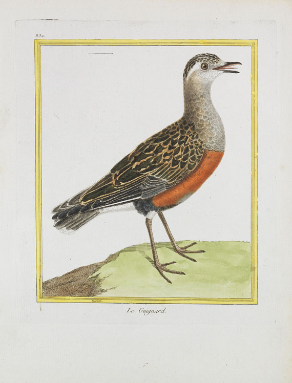 Georges Louis Leclerc Buffon - Histoire naturelle des oiseaux. 3 Kassetten - Autre image