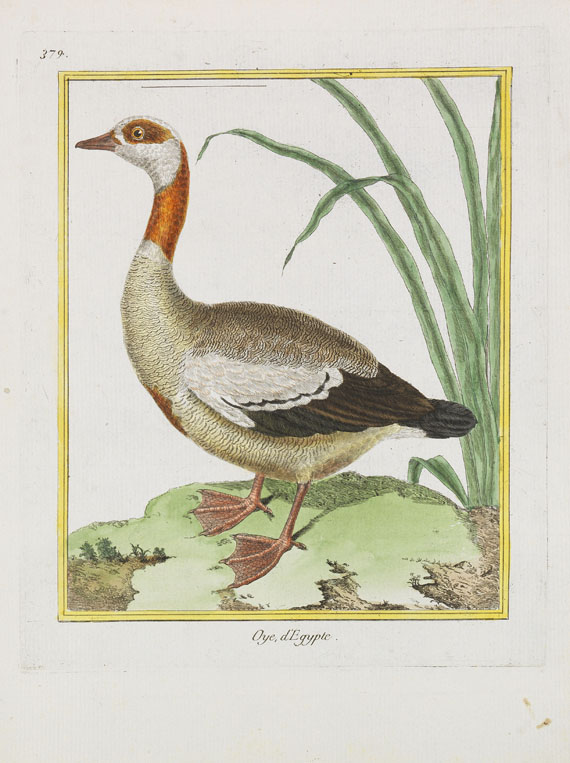 Georges Louis Leclerc Buffon - Histoire naturelle des oiseaux. 3 Kassetten - Autre image