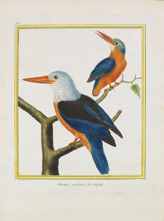 Georges Louis Leclerc Buffon - Histoire naturelle des oiseaux. 3 Kassetten