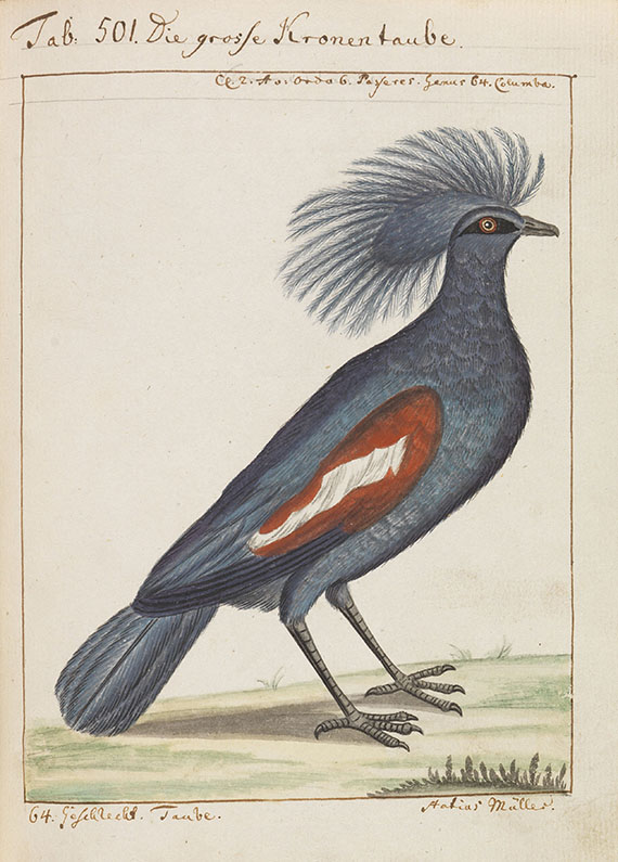 Carl von Linné - Vögel in Beschreibungen und Abbildungen - Autre image