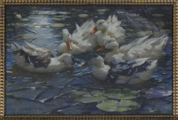 Alexander Koester - Fünf bunte Enten in blauem Seerosenwasser - Image du cadre