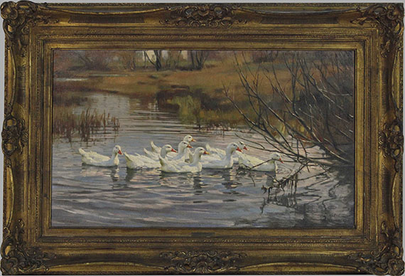 Franz Gräßel - Weiße Enten im Wasser - Image du cadre