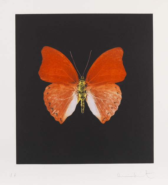 Damien Hirst - Butterfly