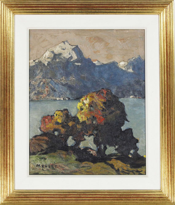 Oskar Mulley - Herbstlicher Blick über den Gardasee - Image du cadre