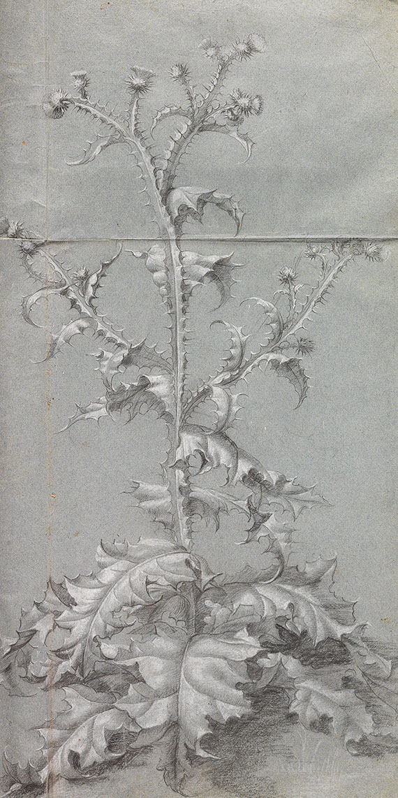   - Fleurs du Printemps et de l´Este - Autre image