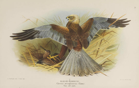 Thomas Lyttleton Powys - Birds of the British Islands. 7 Bände - Autre image