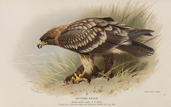 Thomas Lyttleton Powys - Birds of the British Islands. 7 Bände - Autre image