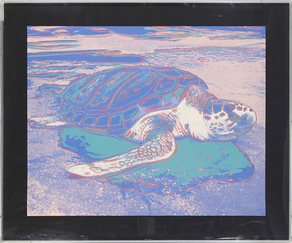 Andy Warhol - Turtle - Image du cadre