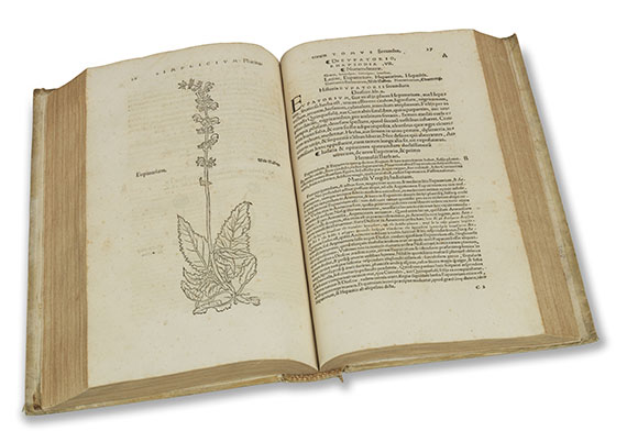 Otto Brunfels - Herbarum vivae eicones, 2 in 1 Band - Autre image