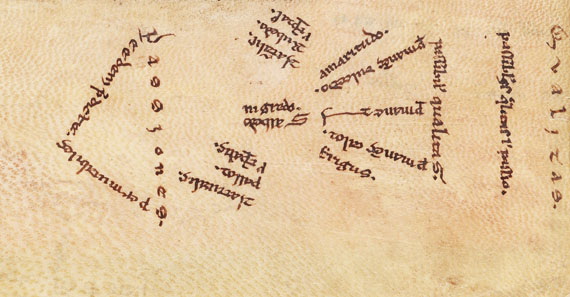  Aristoteles - Logica vetus, Pergamenthandschrift - Autre image