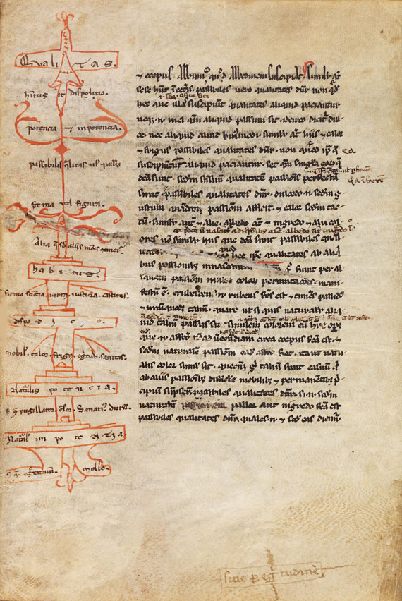  Aristoteles - Logica vetus, Pergamenthandschrift - Autre image