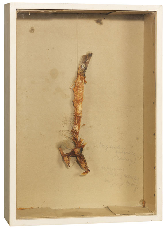 Joseph Beuys - 1a gebratene Fischgräte (Hering) - Autre image