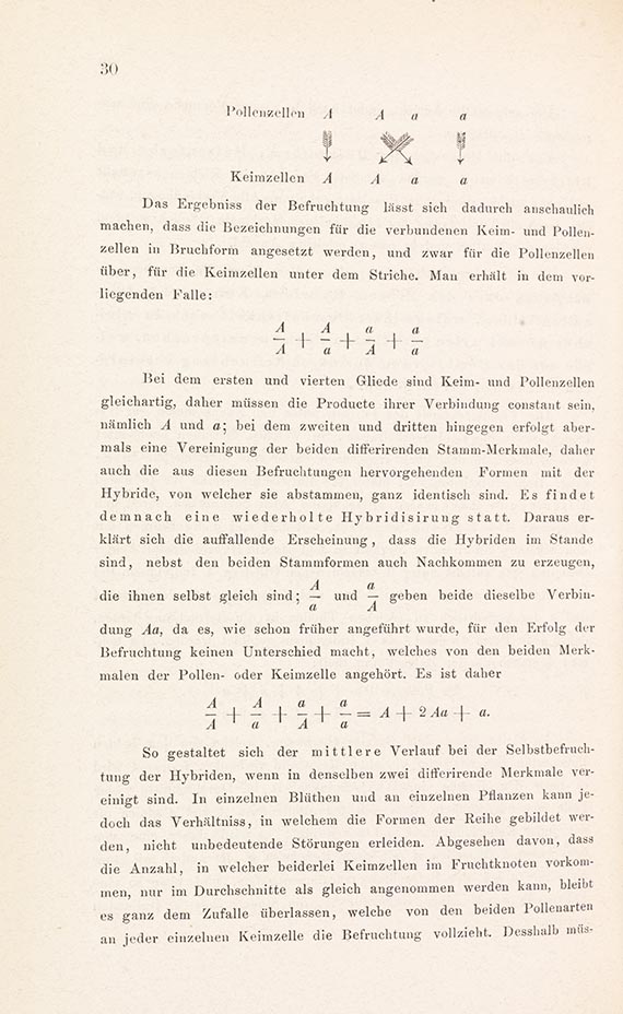 Gregor Mendel - Versuche über Pflanzen-Hybriden - Autre image