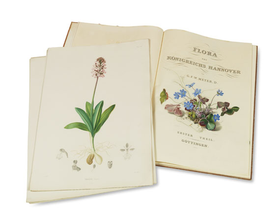 Georg Friedrich Wilhelm Meyer - Flora des Flora des Königreichs Hannover - Autre image
