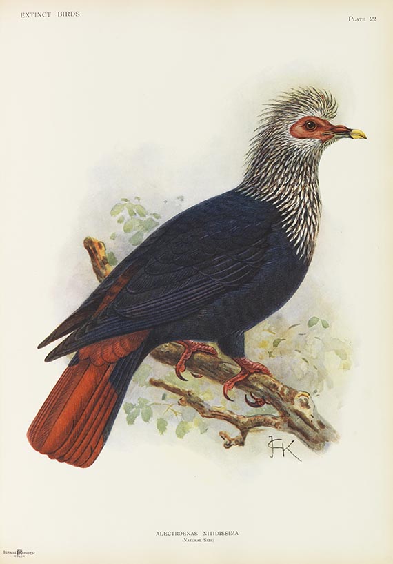 Lionel Walter Rothschild - Extinct birds - Autre image
