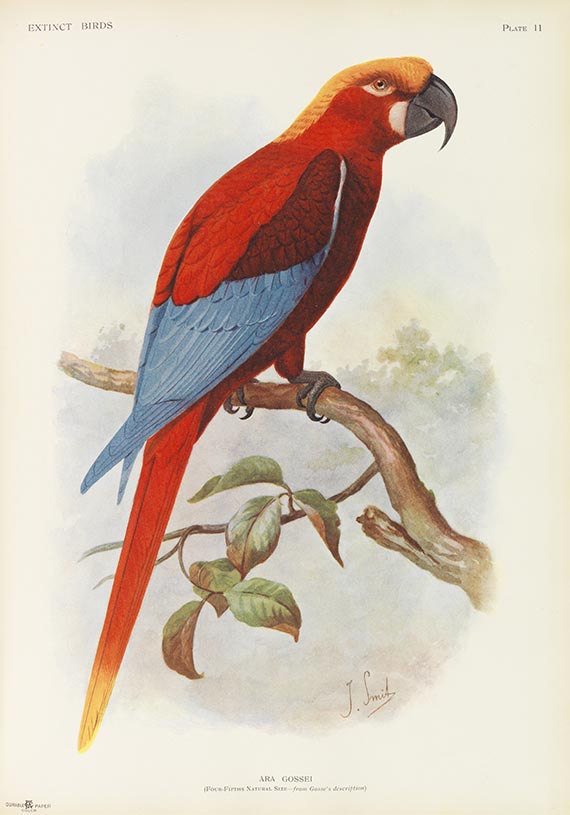 Lionel Walter Rothschild - Extinct birds - Autre image