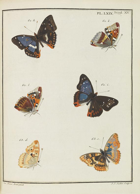 Jacques Louis Florentin Engramelle - Papillons d'Europe - Autre image