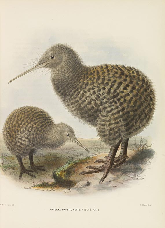 George Dawson Rowley - Ornithological Miscellany. 3 Bände - Autre image