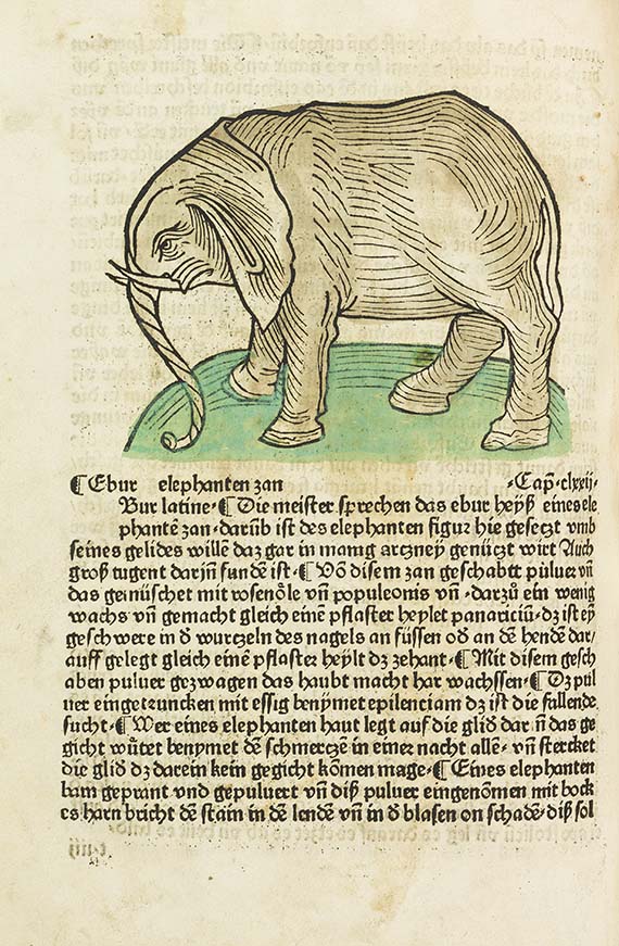 Gart der Gesundheit - Gart der Gesundheit, Augsburg 1485