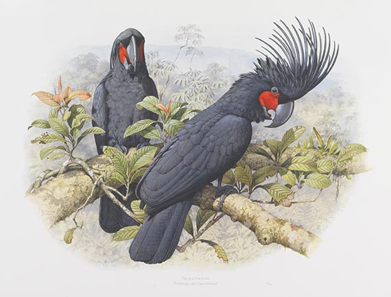 Forshaw, Joseph M. - 3 ornithologische Werke (2x Forshaw/Cooper, 1x John Gould)