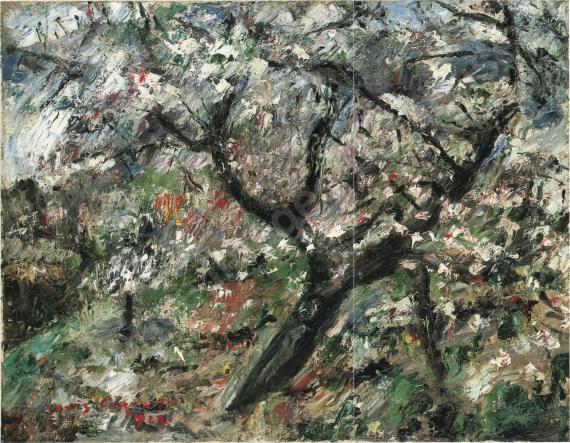 Apple Tree in...