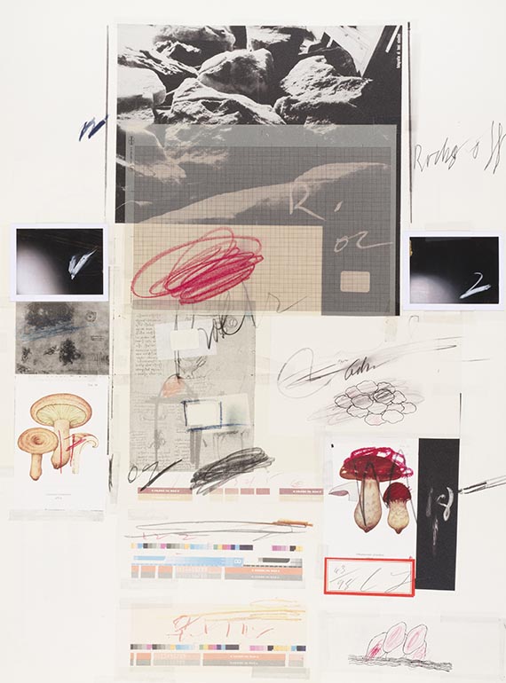 Cy Twombly - Natural History Part I, Mushrooms - Autre image