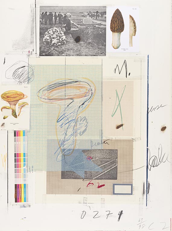 Cy Twombly - Natural History Part I, Mushrooms - Autre image
