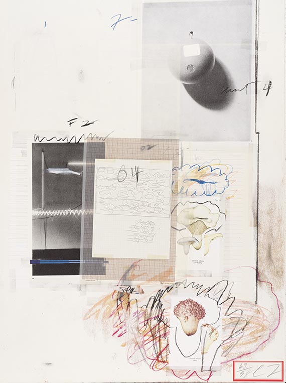 Cy Twombly - Natural History Part I, Mushrooms - Autre image