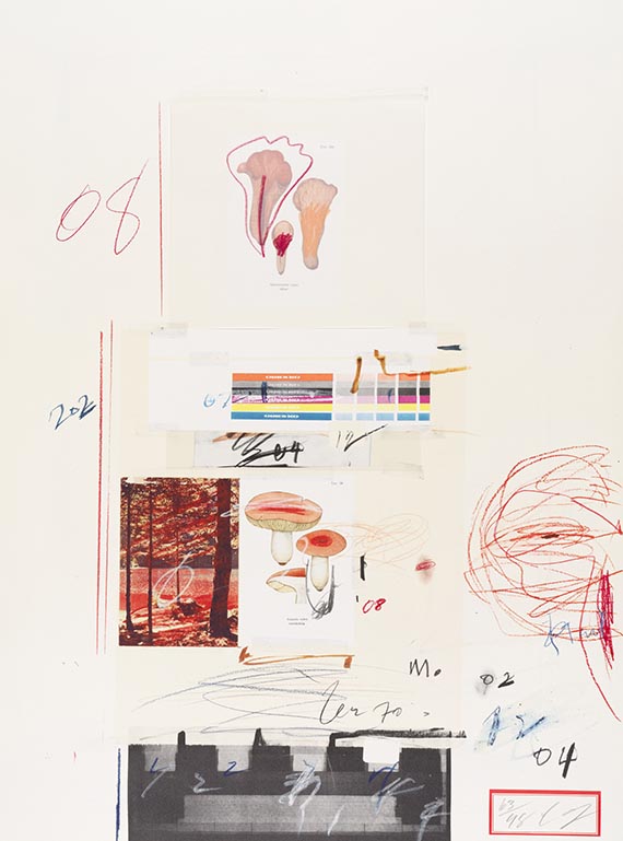 Cy Twombly - Natural History Part I, Mushrooms - Autre image