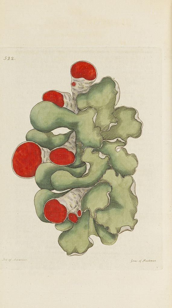 Johann Wilhelm Palmstruch - Svensk Botanik - Autre image