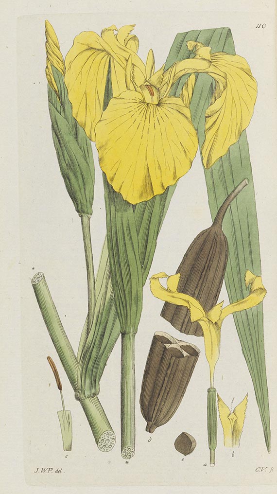 Johann Wilhelm Palmstruch - Svensk Botanik - Autre image