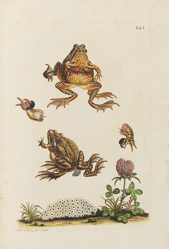 Augustin Johann Rösel von Rosenhof - Naturgeschichte der Froesche