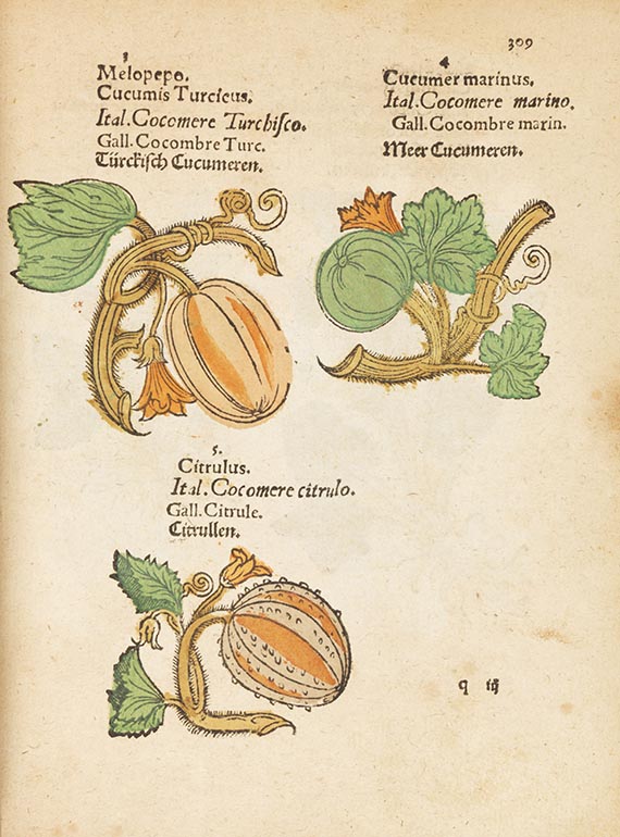   - Plantarum, arborum, fructium, et herbarum effigies - Autre image