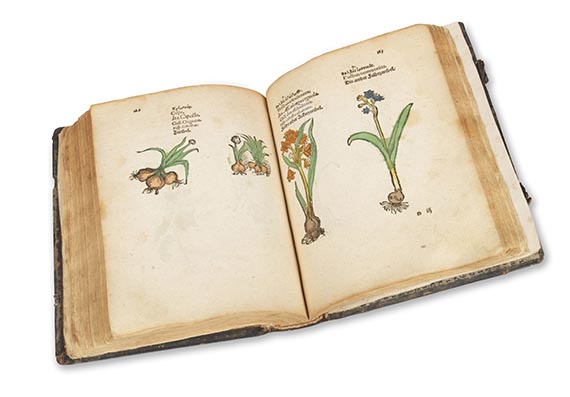   - Plantarum, arborum, fructium, et herbarum effigies - Autre image