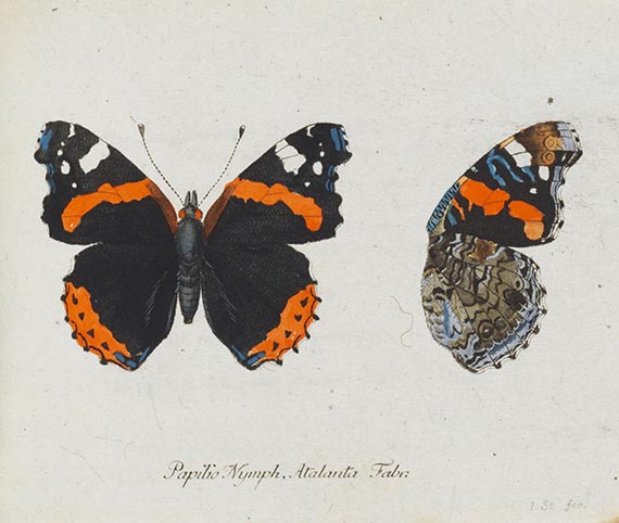 Georg Wolfgang Franz Panzer - Faunae insectorum Germanicae Initia. 190 Hefte und Index in 51 Bänden. - Autre image