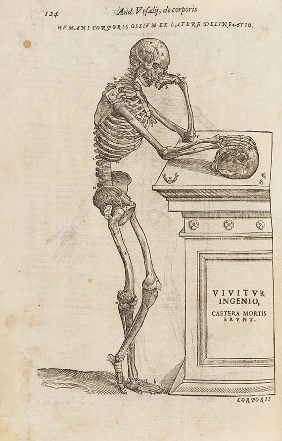 Andreas Vesalius - Anatomia