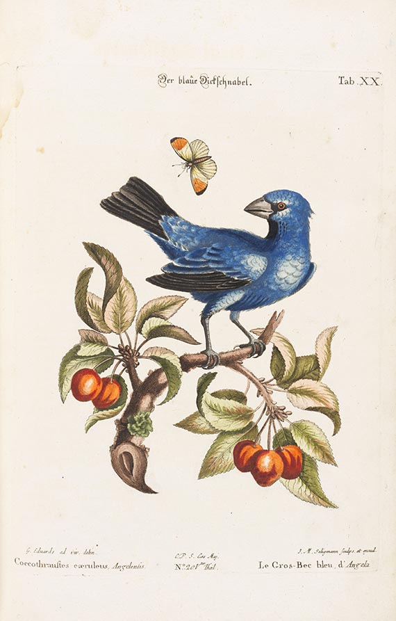 Johann Michael Seligmann - Sammlung verschiedener ausländischer und seltener Vögel. Teil V u. VI