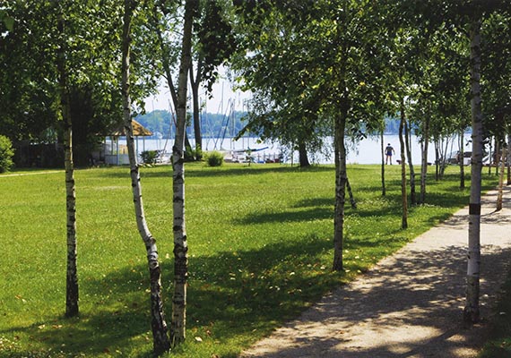 Illustration for: Today’s view through the birch trees towards the Wannsee. © Erik-Jan Ouwerkerk