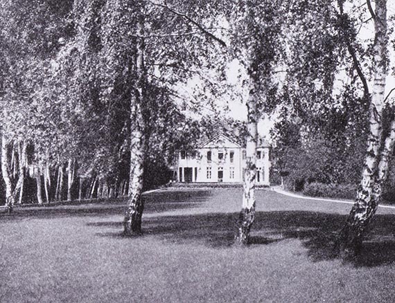 Illustration for: The great lawn with the path through the birch trees on the left, ca. 1911.
