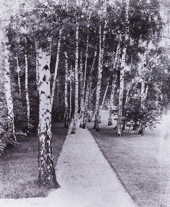 Illustration for: The path through the birch trees in Liebermann’s garden, 1914, photo: Erik-Jan Ouwerkerk. © Erik-Jan Ouwerkerk